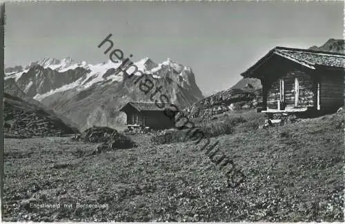 Engstlenalp mit Berneralpen - Foto-Ansichtskarte - Verlag Globetrotter GmbH Luzern 50er Jahre