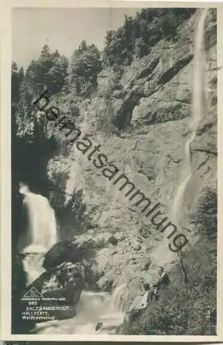 Waldbachstrub - Foto-Ansichtskarte - Verlag Brüder Lenz Dobl 1927