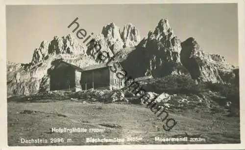 Dachstein - Hofpürglhütte - Bischofmütze - Mosermandl - Foto-AK - Verlag P. Ledermann Wien 1927