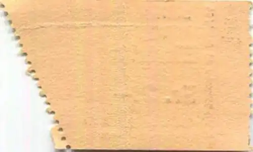 Schweiz - Saanen - Schwimmbad - Eintrittskarte