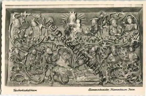 Tauberbischofsheim - Katholische Kirche - Predella am Marienaltar - Riemenschneider Stammbaum Jesse