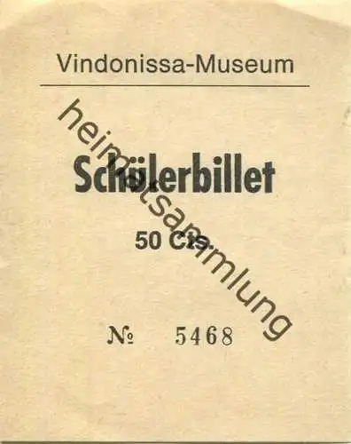 Schweiz - Brugg - Vindonissa-Museum - Schüllerbillet - Eintrittskarte