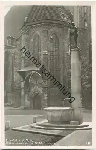 Frankfurt Oder - Steinbockbrunnen mit St. Marienkirche - Foto-Ansichtskarte - Verlag Trinks & Co. Leipzig