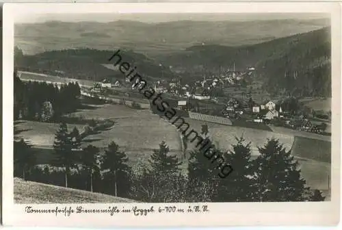 Sommerfrische Bienenmühle - Foto-Ansichtskarte - Verlag A. & R. Adam Dresden