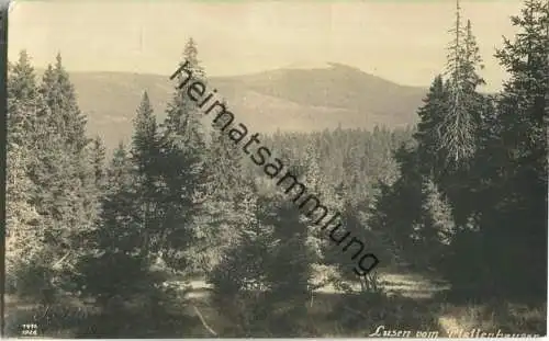 Lusen vom Plattenhausen - Foto-AK - Verlag J. Seidel Krumau 1926