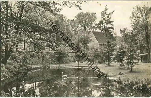 Hoyerswerda - Partie am Schlossteich - VEB Bild und Heimat Reichenbach