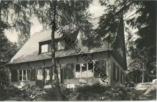 Bad Elster - Waldcafe Bärenloh - Foto-Ansichtskarte - Dick-Foto-Verlag Erlbach 60er Jahre
