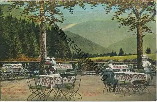 Blick von der Schmücke - Verlag Gebr. Metz Tübingen ca. 1915