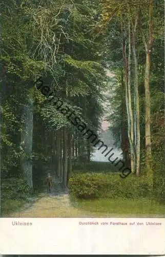 Ukleisee - Durchblick vom Forsthaus auf den Ukleisee - Verlag Julius Simonsen Oldenburg 1910