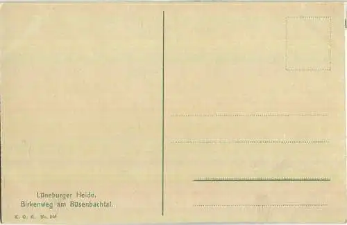 Birkenweg am Büsenbachtal