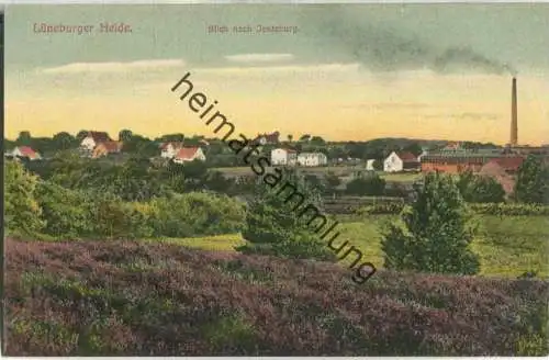 Blick nach Jesteburg - Verlag Gebr. Kumm Hamburg ca. 1910