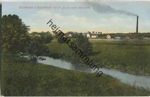 Jesteburg - Blick vom Seevetal - Verlag Gebr. Kumm Hamburg ca. 1910