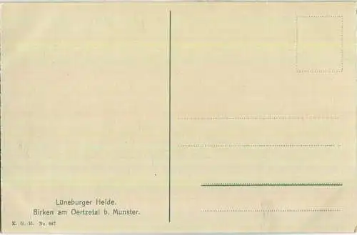 Birken am Oertzetal bei Munster ca. 1910