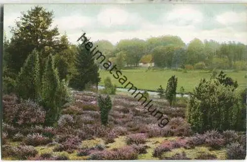 Lüneburger Heide - Blick ins Böhmetal bei Uetzingen ca. 1910