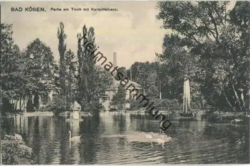 Bad Kösen - Partie am Teich mit Kurmittelhaus - Verlag Louis Glaser Leipzig ca. 1910