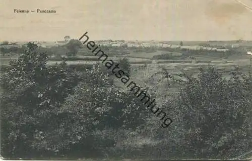Felenne - Panorama - Rückseite beschrieben 1918