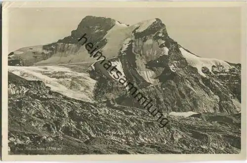 Das Scheerhorn - Foto-Ansichtskarte - Edition Photoglob Zürich