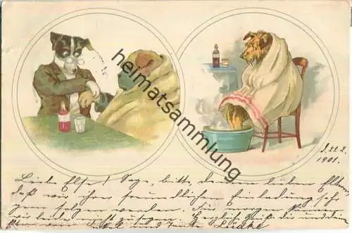 Hundedoktor - Hunde vermenschlicht - Aquarell-Postkarte - Verlag Theo Stroefer