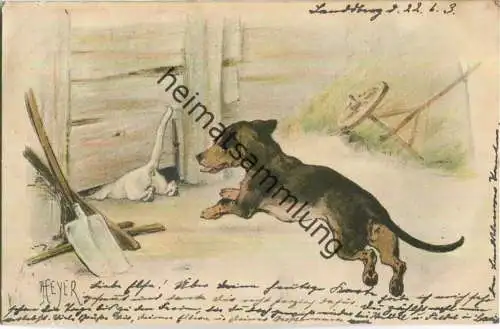 Hunde beim Spielen - signiert D Heyer - Verlag K. & B. D.
