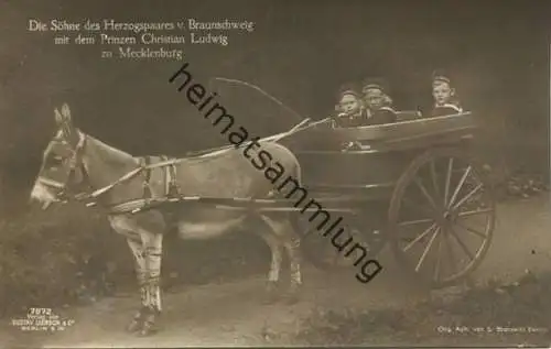 Die Söhne des Herzogspaares von Braunschweig mit dem Prinzen Christian Ludwig zu Mecklenburg - Phot. S. Sborowitz Berlin