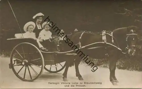 Herzogin Viktoria Luise zu Braunschweig und die Prinzen - Phot. L. Demuth - Verlag E. Appelhans Braunschweig