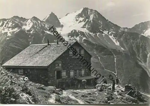 Windgällenhütte mit Oberalpstock - Ziegen - Kühe - Foto-AK Grossformat - Verlag L. von Matt Buochs