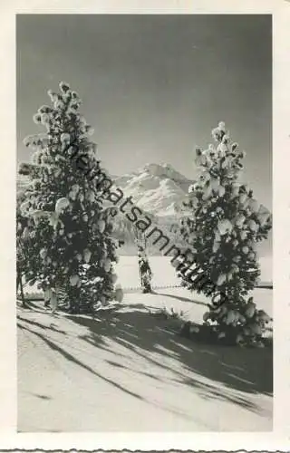 Sils - Blick auf Piz della Margna - Foto-AK - Verlag E. Meerkämper Sils gel. 1945