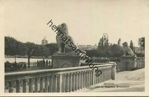 Genève - Lions du Monument Brunswick - Foto-AK - Edition Phototypie Co. Lausanne