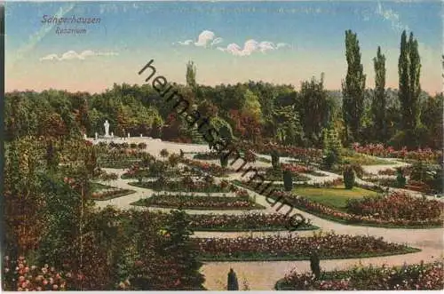 Sangerhausen - Rosarium - Verlag Wilhelm Tacke Sangerhausen