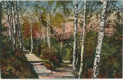 Sangerhausen - Wolfschlucht im Rosarium - Verlag Wilhelm Tacke Sangerhausen