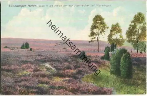 Lüneburger Heide - Blick in die Heide von den Fischteichen bei Hösseringen