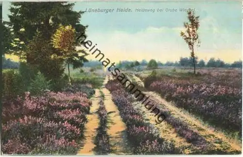 Heideweg bei Grube Wiechel - Lüneburger Heide