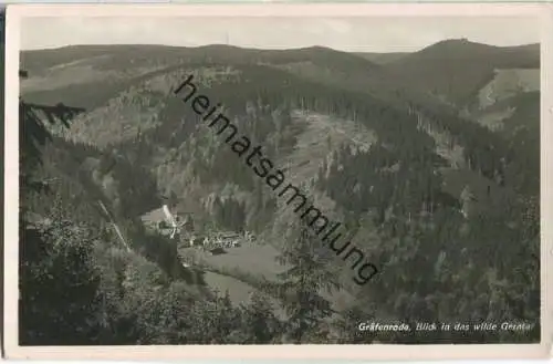 Gräfenroda - Geratal - Foto-Ansichtskarte - Verlag E. Ritter Crawinkel