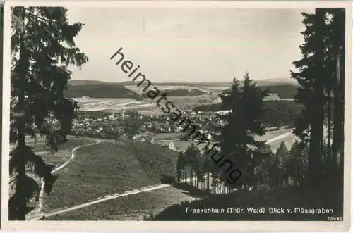 Frankenhain bei Gräfenroda - Blick vom Flössgraben - Foto-Ansichtskarte - Verlag E. Ritter Crawinkel