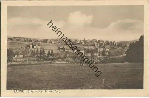 Tanne im Harz vom Harten Weg - Verlag Julius Simonsen Oldenburg