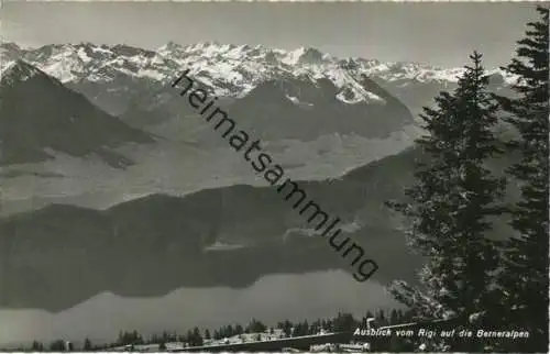 Blick vom Rigi auf die Berner Alpen - Foto-AK - Verlag Globetrotter Luzern