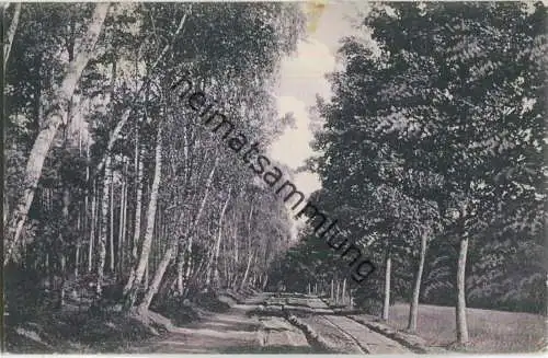 Neuruppin - Weg nach der Neuen Mühle - Verlag Johann Lindenberg Rathenow