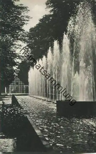 Dresden - Internationale Hygiene-Ausstellung 1930 - Hundertbrunnenstrasse - Offizielle Karte Nr. 48