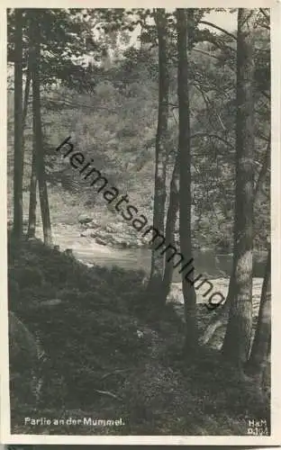 Mummel - Verlag H. & M. D. 104 - Foto-AK 30er Jahre