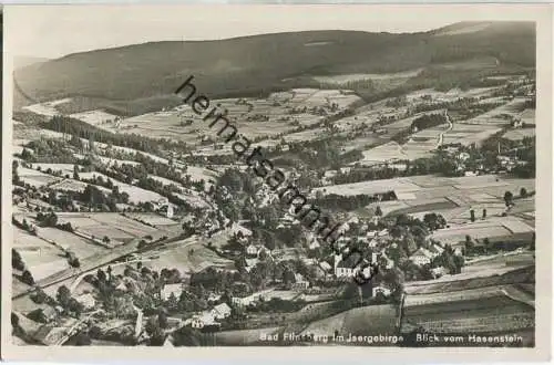 Swieradow-Zdroj - Bad Flinsberg - Blick vom Hasenstein - Foto-AK ca. 1930 - Verlag Alfred Männich Hirschberg