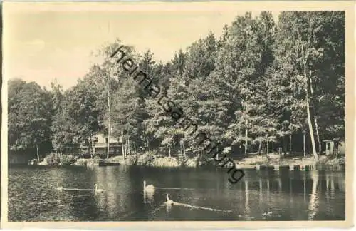 Schleusingen - Stadtpark - Foto-Ansichtskarte - Verlag Hermann Rumpel Schleusingen