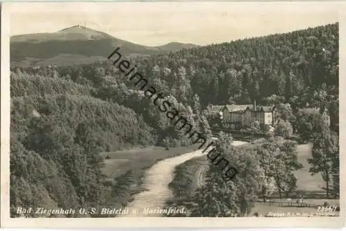 Bad Ziegenhals - Glucholazy - Bieletal und Marienfried - Foto-Ansichtskarte - Verlag Geyer & Co. Breslau