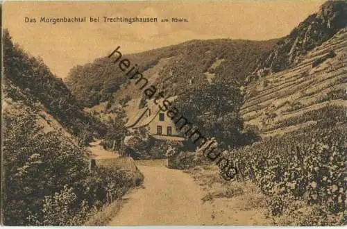 Das Morgenbachtal bei Trechtingshausen am Rhein - Verlag Louis Glaser Leipzig