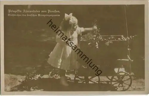 Prinzessin Alexandrine von Preussen -  - Phot. W. Niederastroth Potsdam - Verlag NPG