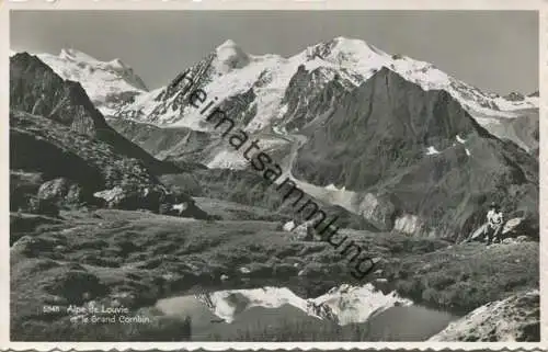 Alp de Louvie et le Grand Combin - Foto-AK - Edition Perrochet & Phototypie Lausanne