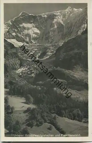 Unterer Grindelwaldgletscher und Fiescherwand - Foto-Ansichtskarte - Wehrliverlag Kilchberg