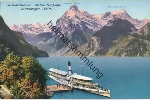 Viewaldstättersee - Station Tellsplatte - Salondampfer Uri - Verlag E. Goetz Luzern