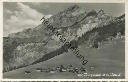 Taveyannaz et le Culand - Foto-AK - Edition Perrochet Lausanne gel. 1957