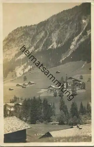 L'Etivaz - Foto-AK - Edition Perrochet-Matile Lausanne - gel. 1924