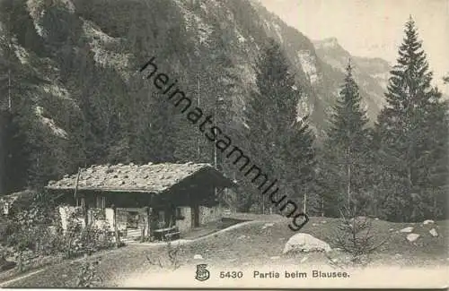 Partie beim Blausee - Edition Franco-Suisse Berne gel. 1912